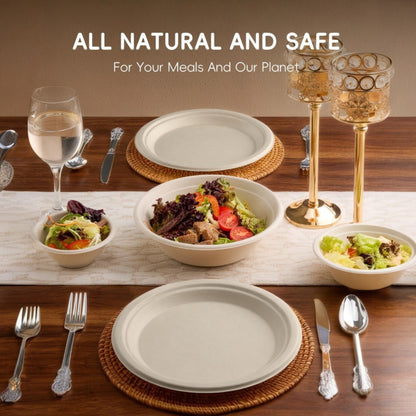 White 100% FSC Certified Heavy Duty Sugarcane Bulk Compostable Eco-Friendly Disposable Plates