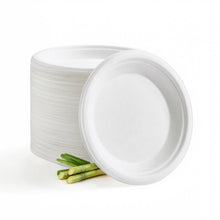 White 100% FSC Certified Heavy Duty Sugarcane Bulk Compostable Eco-Friendly Disposable Plates
