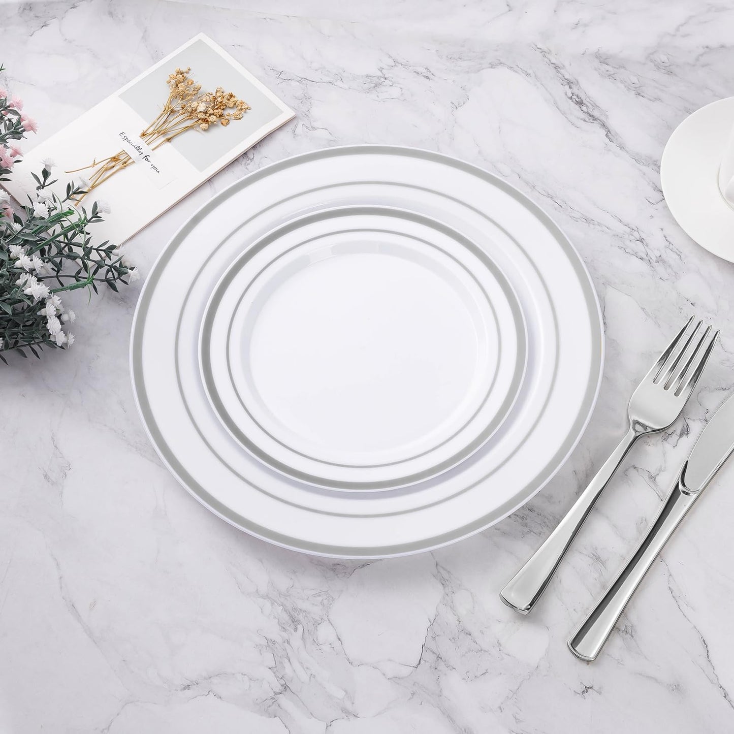 Goodluck 100PCS 10.25 Inch Disposable Silver Dinner Plate