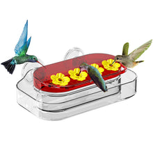 Goodluck Strong Suction Cup Hummingbird Feeder with 4 Feeding Ports