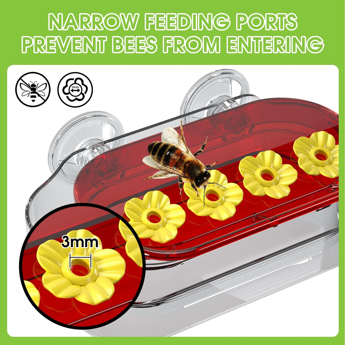 Goodluck Strong Suction Cup Hummingbird Feeder with 4 Feeding Ports