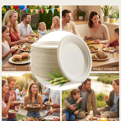 White 100% FSC Certified Heavy Duty Sugarcane Bulk Compostable Eco-Friendly Disposable Plates