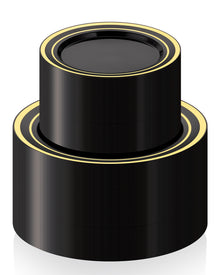 Goodluck Premium Disposable Black with Gold Rim Plastic Plates Set for Party, Wedding, Holiday, and Halloween